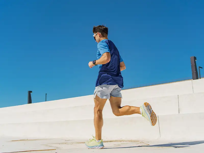 Genanalyse Performance & Sport